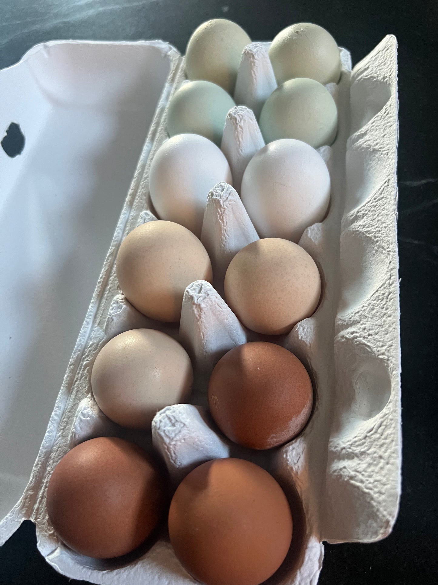 Chicken Eggs - Local Pick Up Only