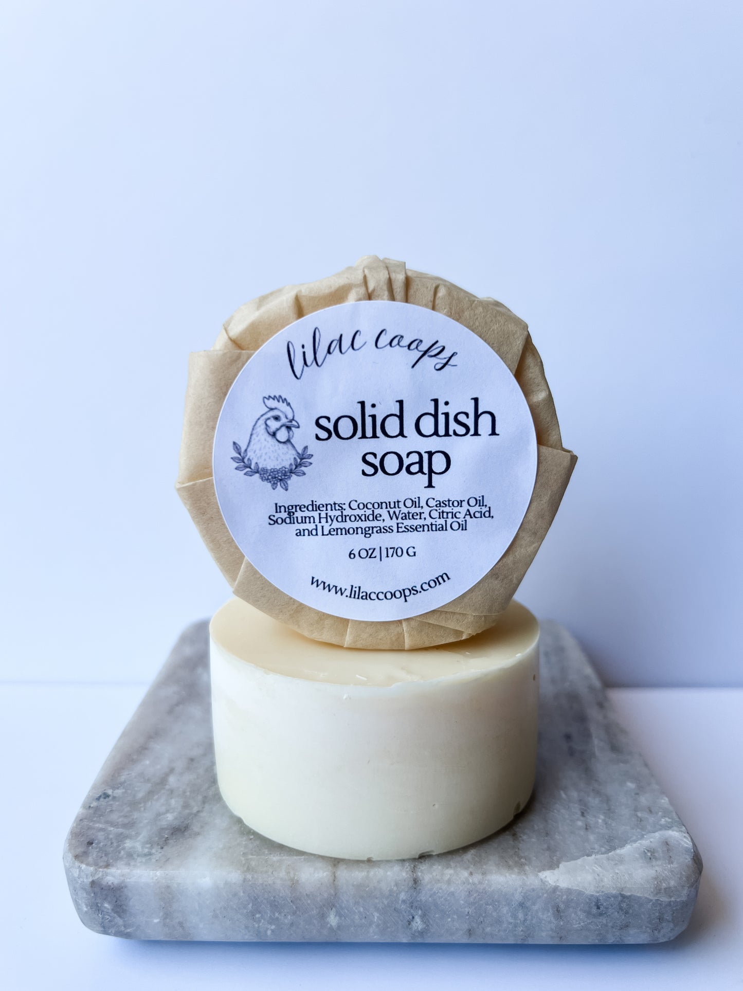 Solid Dish Soap Refill